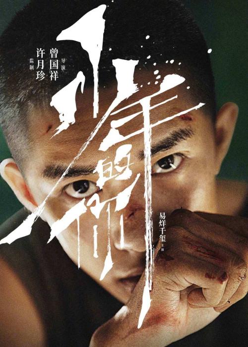 做个澳大利亚护照电子版